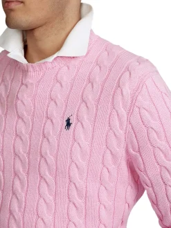 Polo Ralph Lauren | Pullover>Uomo Maglie